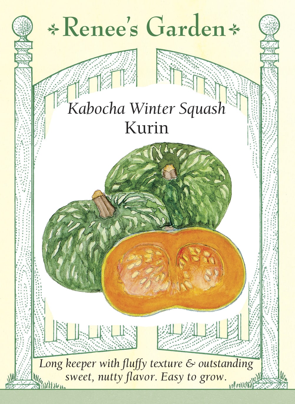 Kabocha Winter Squash - Kurin