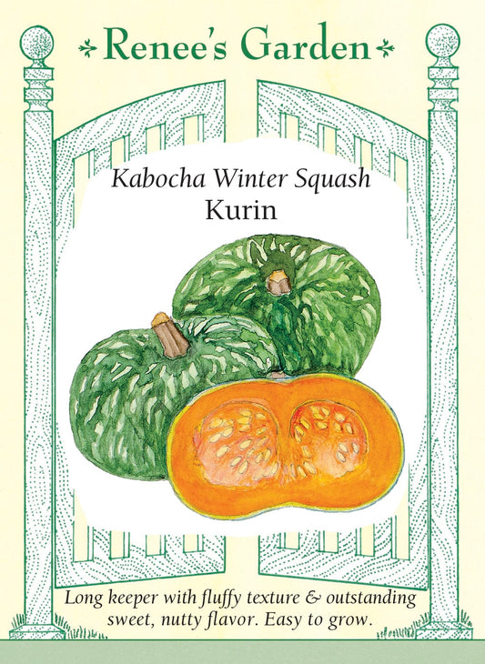 Kabocha Winter Squash - Kurin
