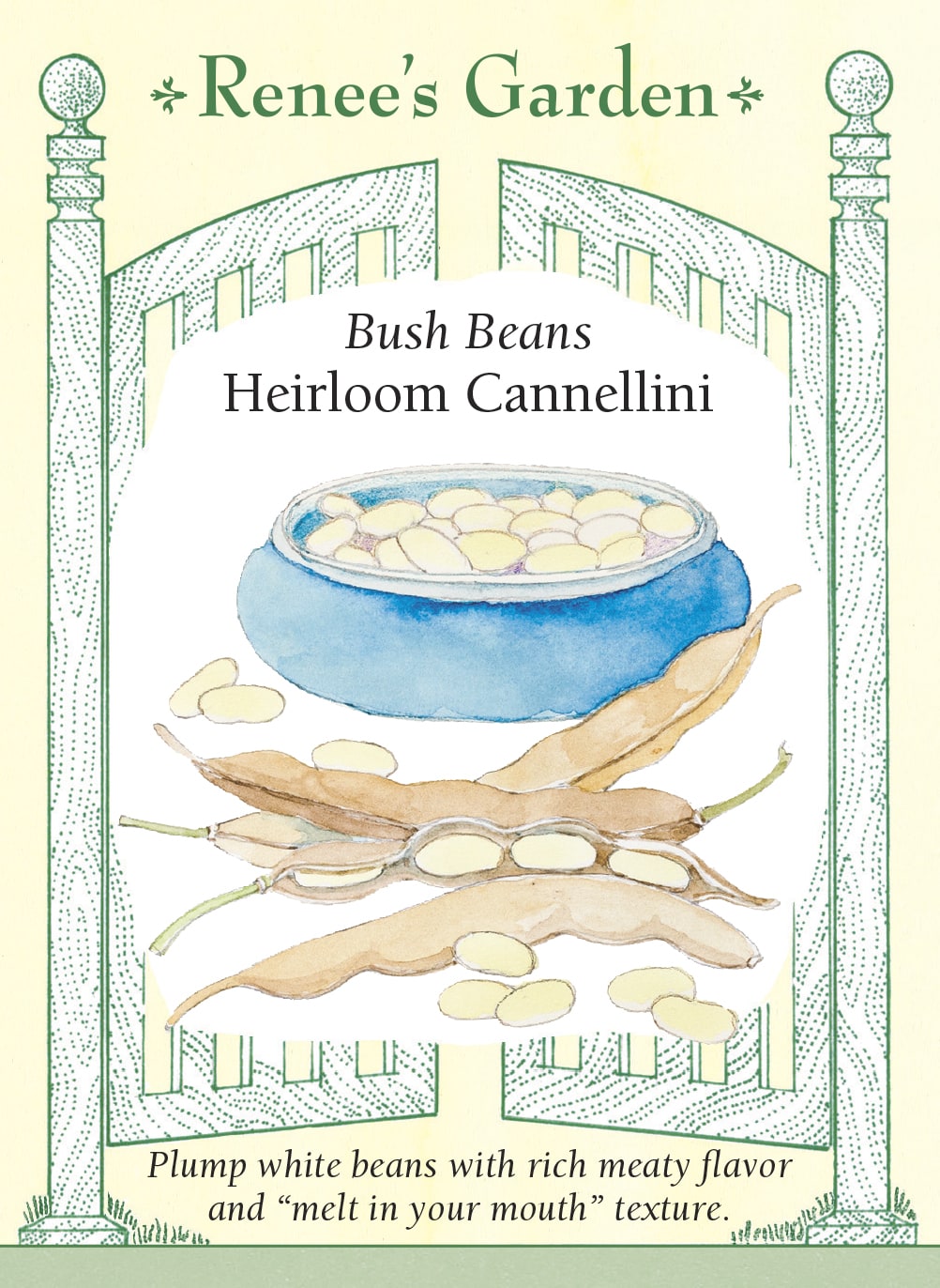 Bush Beans - Heirloom Cannellini