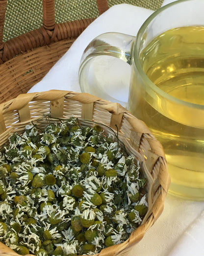 Flowering Herbs - Bodegold Chamomile