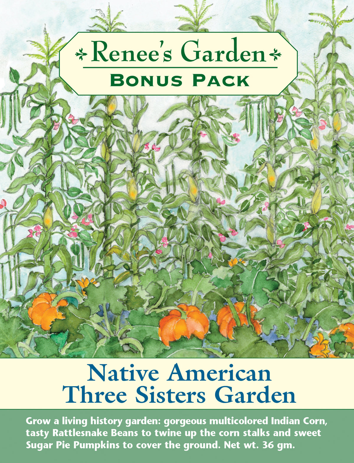 Bonus Pack - Native American Three Sisters Garden