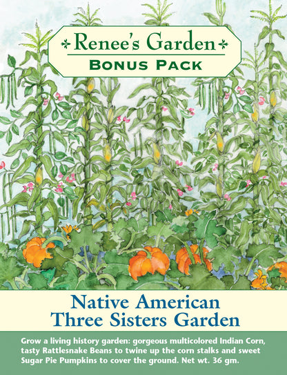 Bonus Pack - Native American Three Sisters Garden