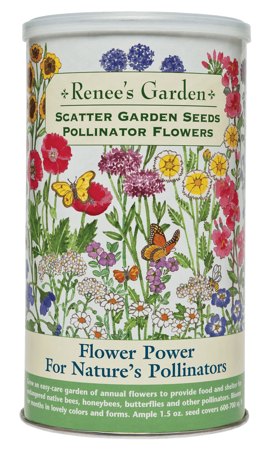 Scatter Gardens - Flower Power For Nature's Pollinators