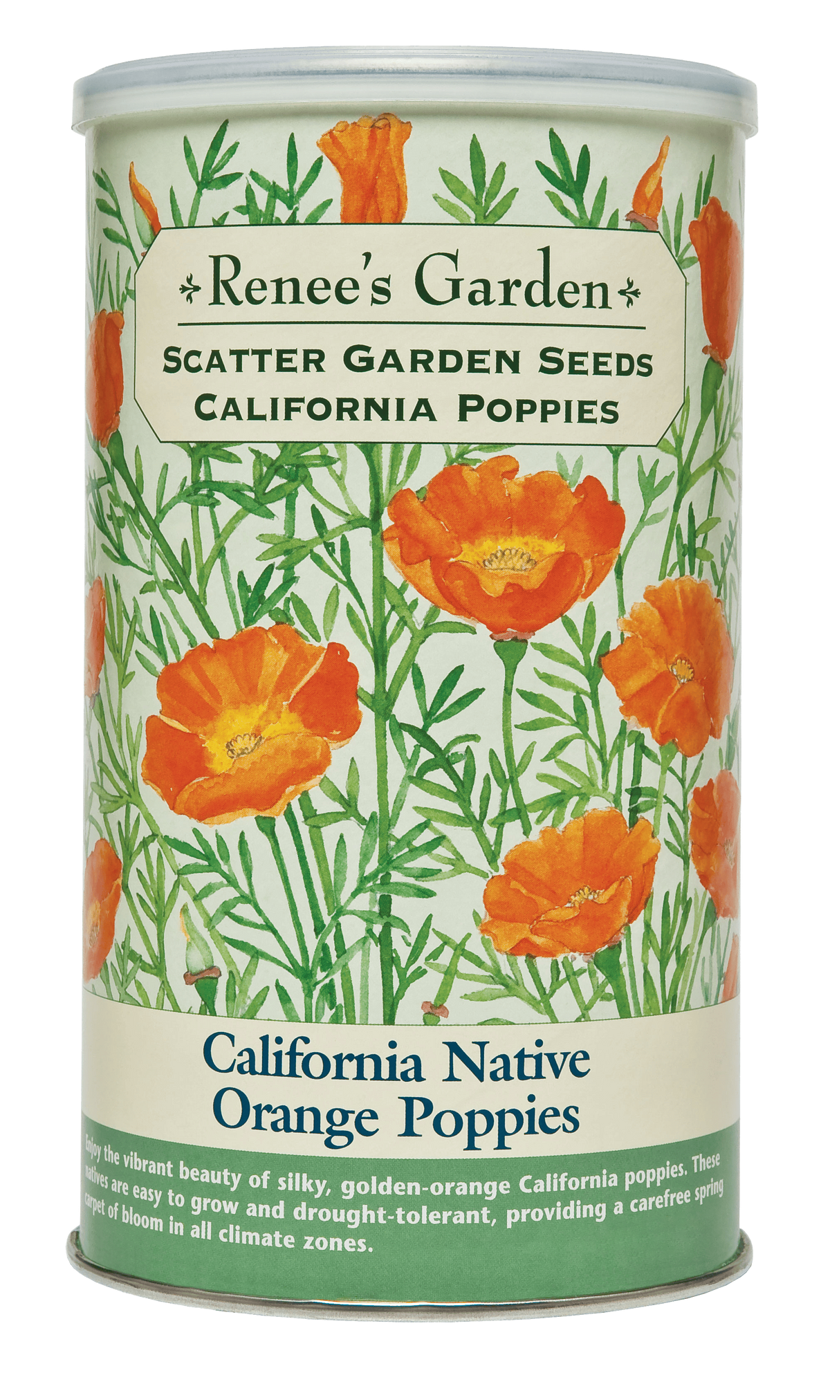 Scatter Gardens - California Native Orange Poppies