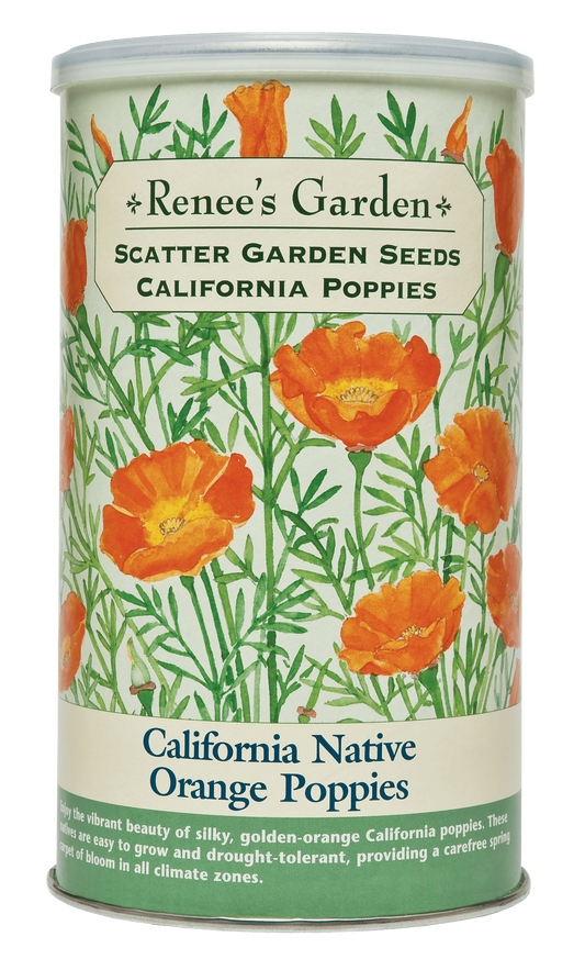 Scatter Gardens - California Native Orange Poppies