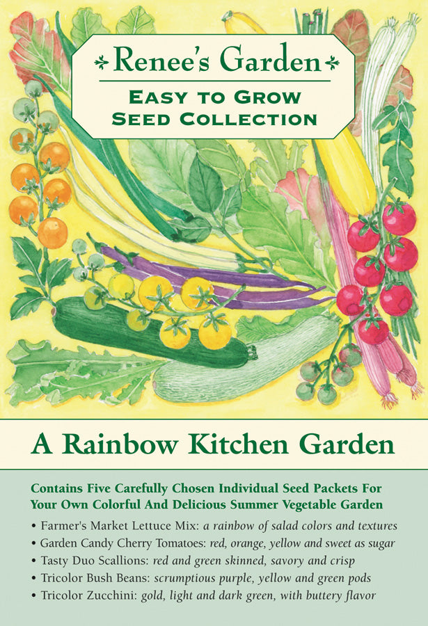 Easy To Grow - The Rainbow Kitchen Vegetable Garden