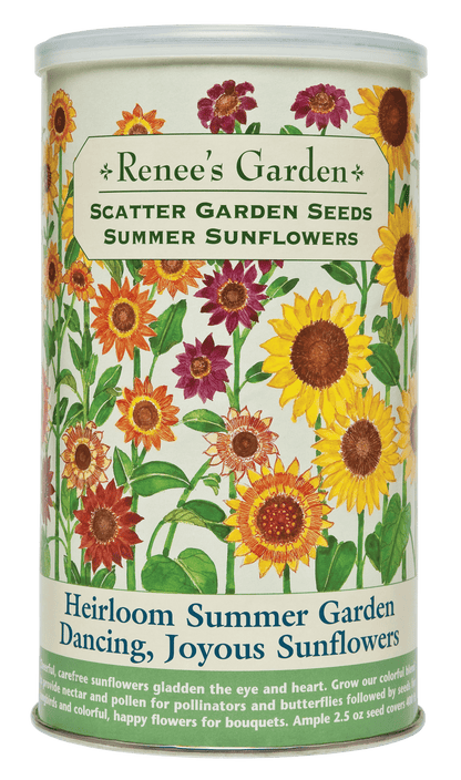 Scatter Gardens - Heirloom Summer Garden Dancing, Joyous Sunflowers