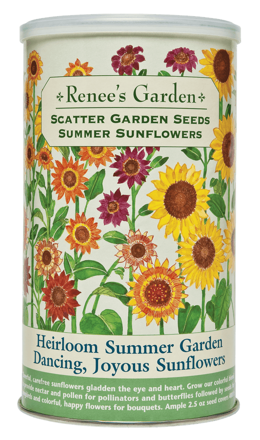 Scatter Gardens - Heirloom Summer Garden Dancing, Joyous Sunflowers