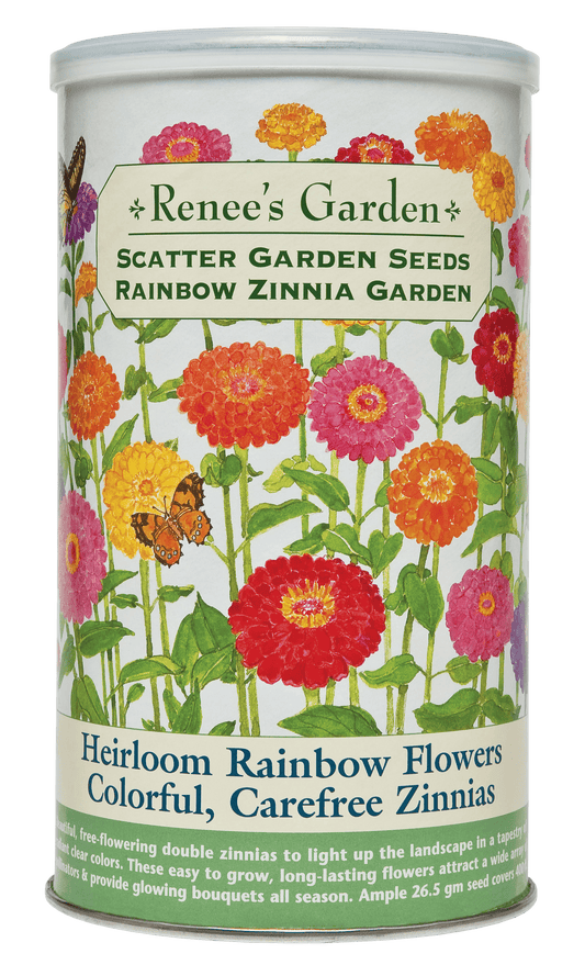 Scatter Gardens - Heirloom Rainbow Flowers Colorful, Carefree Zinnias