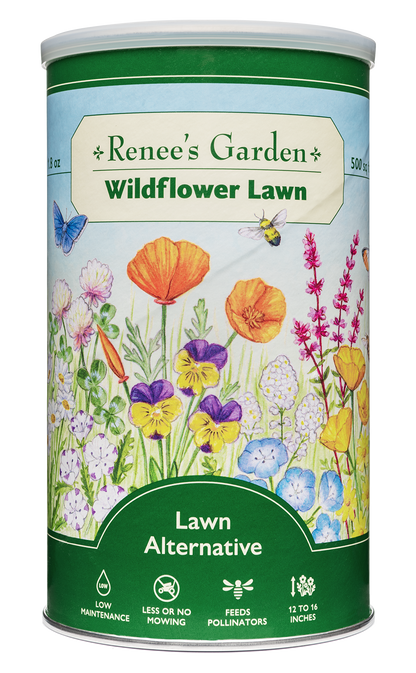 Lawn Alternative - Wildflower Lawn