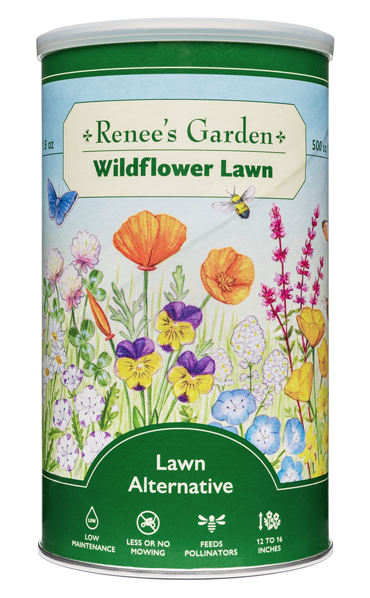 Lawn Alternative - Wildflower Lawn