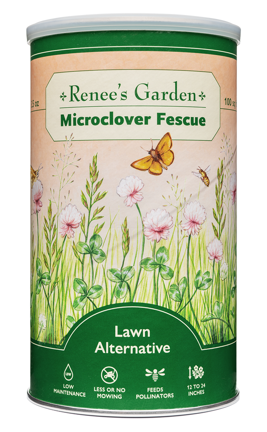 Lawn Alternative - Microclover Fescue