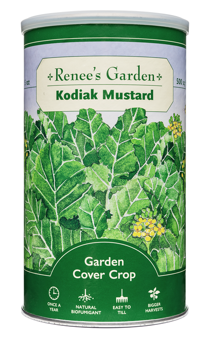 Cover Crop - Kodiak Mustard