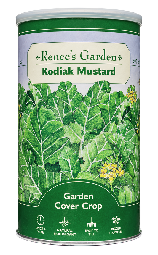 Cover Crop - Kodiak Mustard