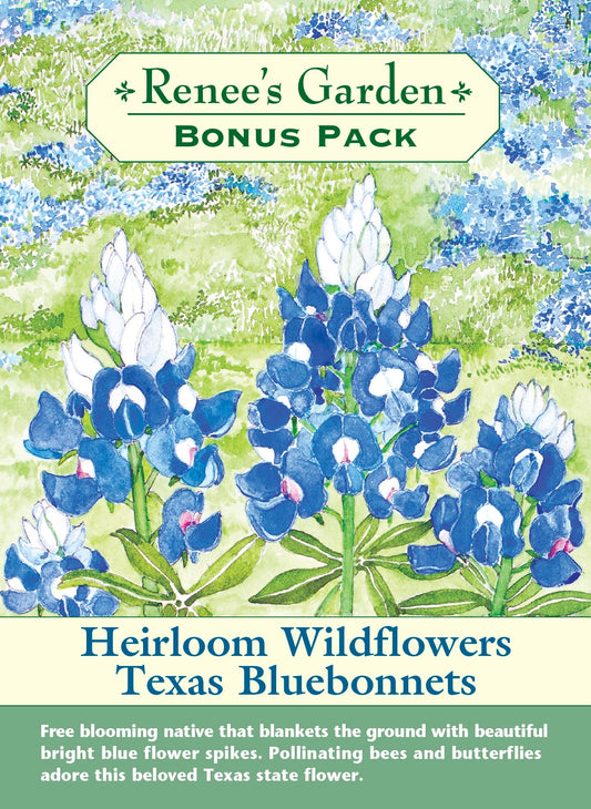 Bonus Pack - Heirloom Wildflowers Texas Bluebonnets