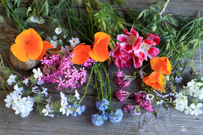 Bonus Pack - Easy Annual Wildflowers Nature’s Color Palette