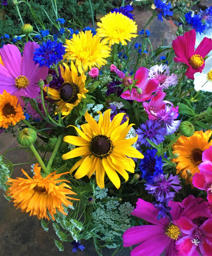 Pollinator Flowers - Early Blooming Beekeeper's Mix