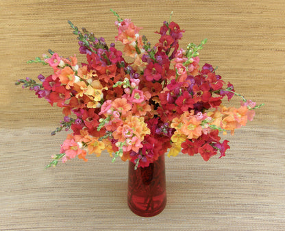 Butterfly Snapdragons - Chantilly Summer Flame