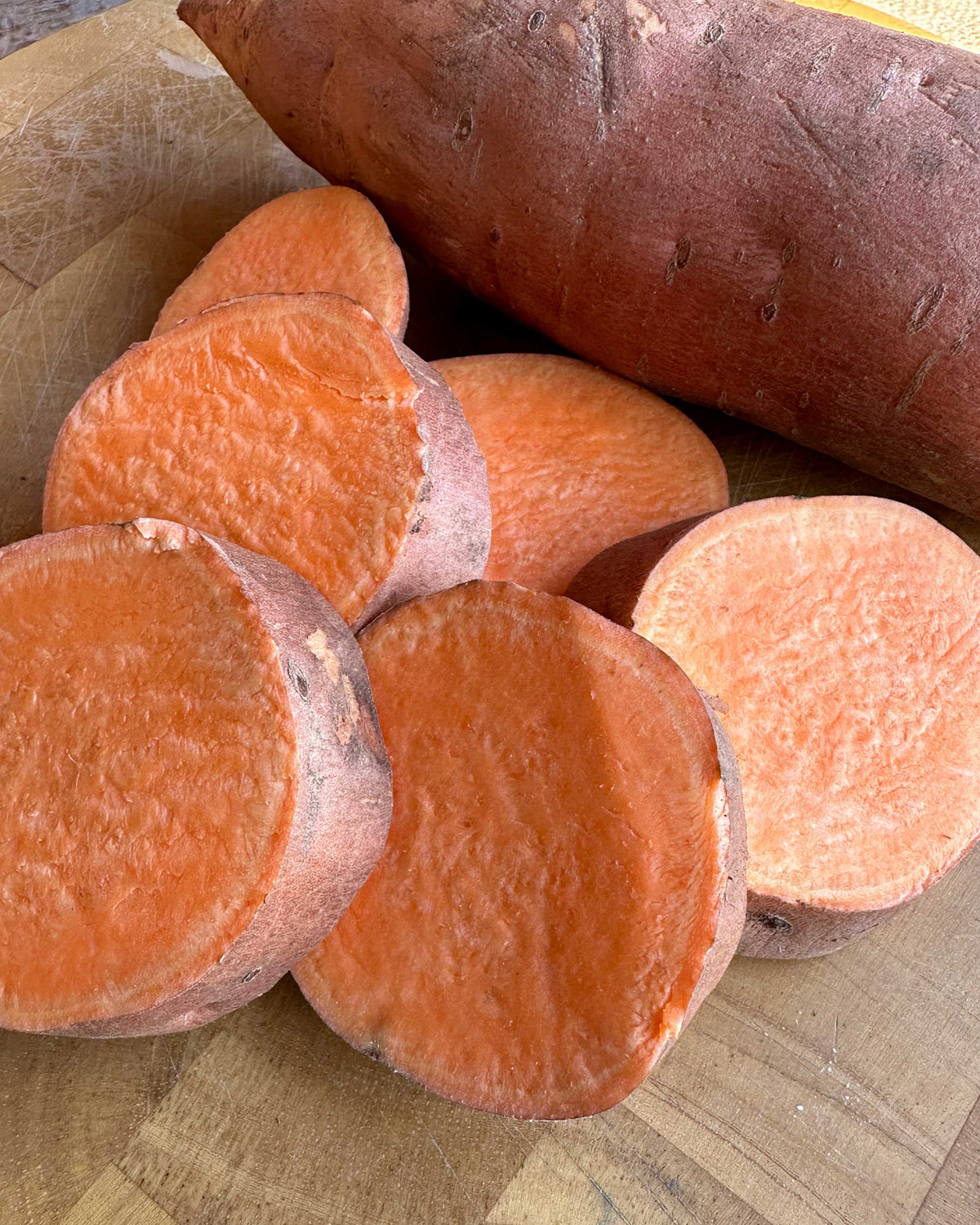 Sweet Potato Plants - Covington