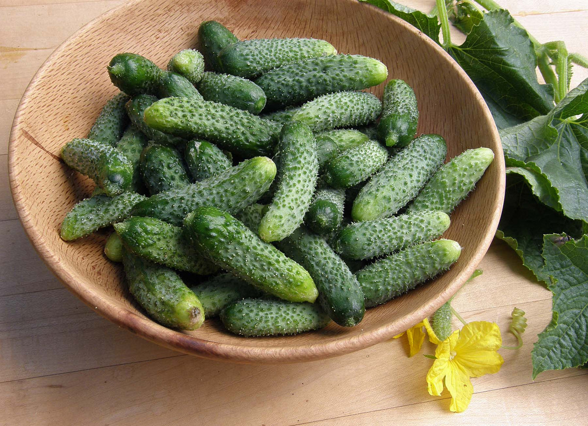 Petite Pickles - French Cornichon