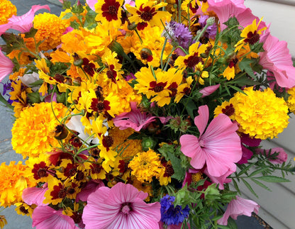 Scatter Gardens - Endless Bouquets Cut Flower Garden