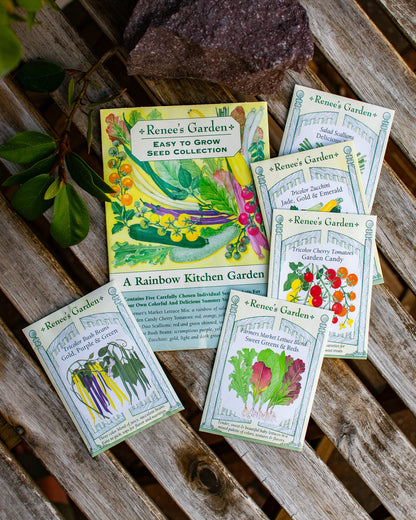 Easy To Grow - The Rainbow Kitchen Vegetable Garden