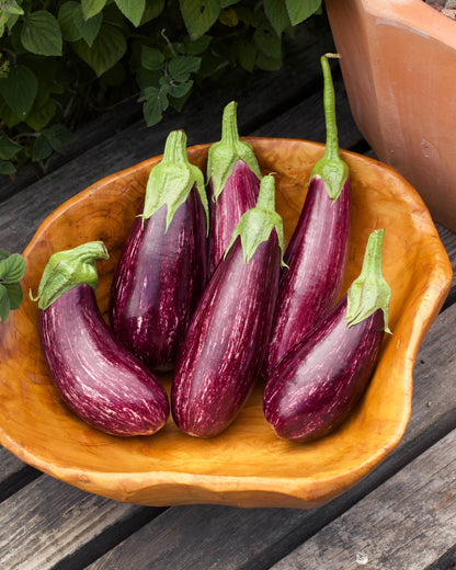 Italian Striped Eggplant - Roxanne