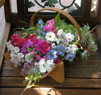 Special Seed Blends - Fairy Garden Mix