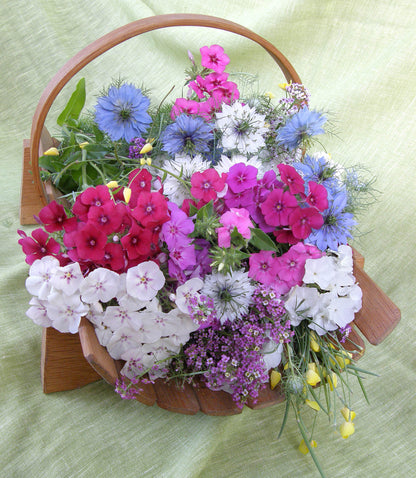 Special Seed Blends - Fairy Garden Mix