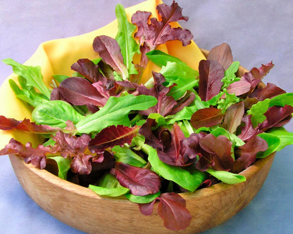 Easy To Grow - The Rainbow Kitchen Vegetable Garden