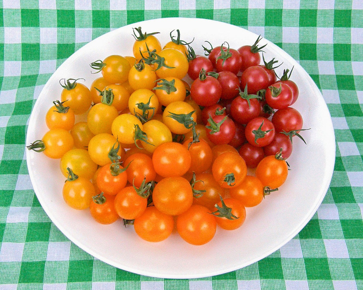 Easy To Grow - The Rainbow Kitchen Vegetable Garden