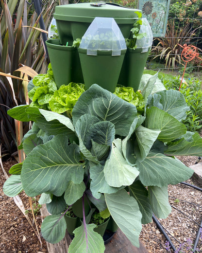 GreenStalk Garden Seed Houses