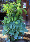 GreenStalk 5-Tier Vertical Planter