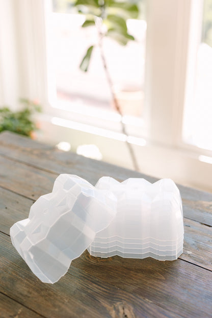 GreenStalk Seed Starter Kit with Domes