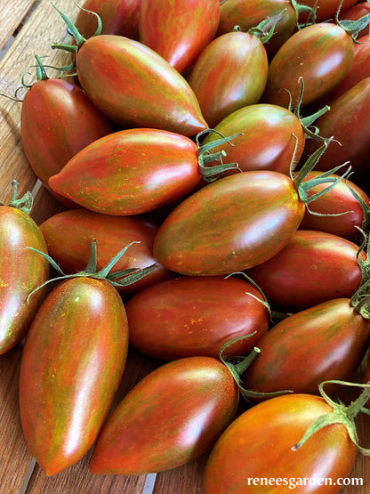 Grape Tomatoes - Bronze Torch