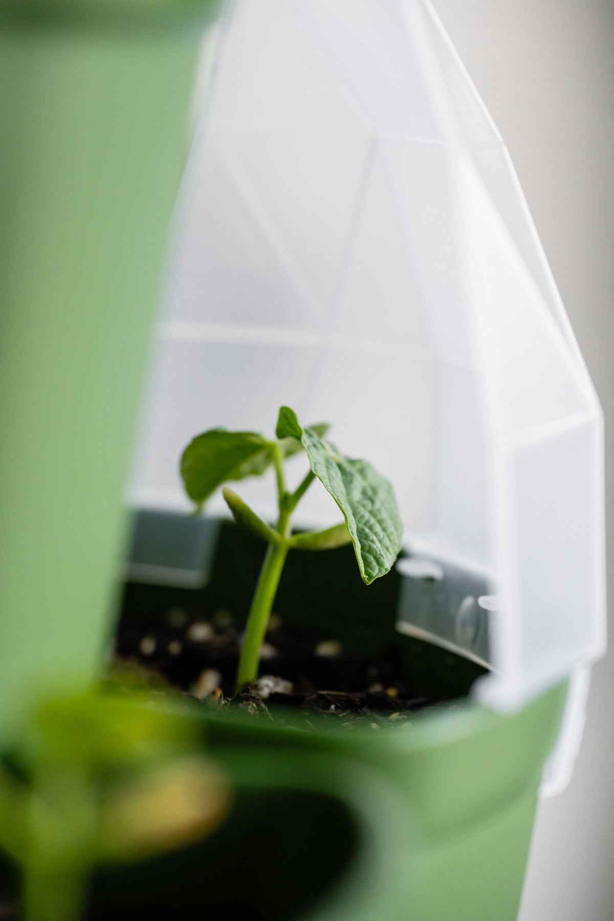 GreenStalk Garden Seed Houses