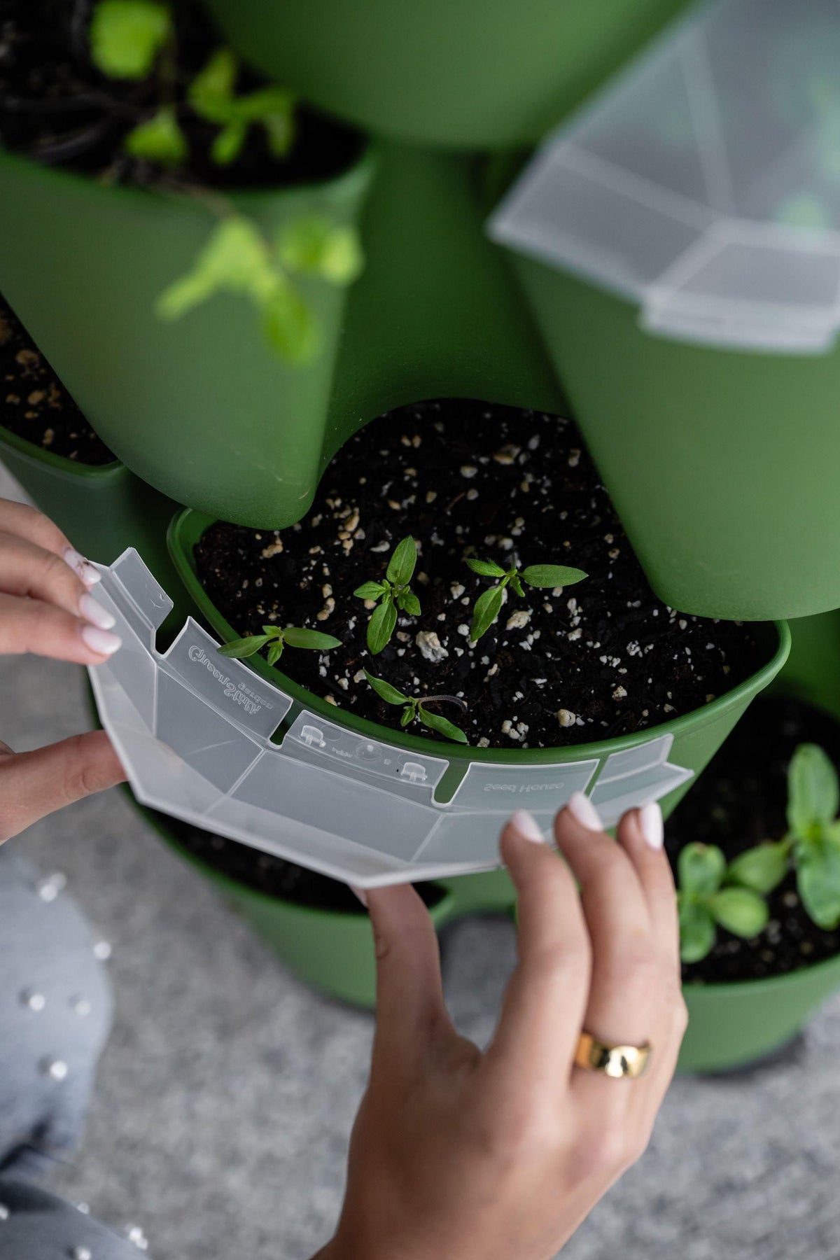 GreenStalk Garden Seed Houses