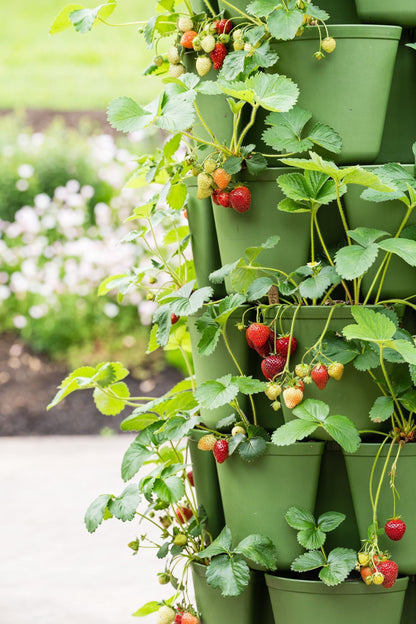 GreenStalk 7-Tier Vertical Planter