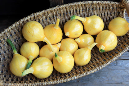 Summer Squash - Little Lemon