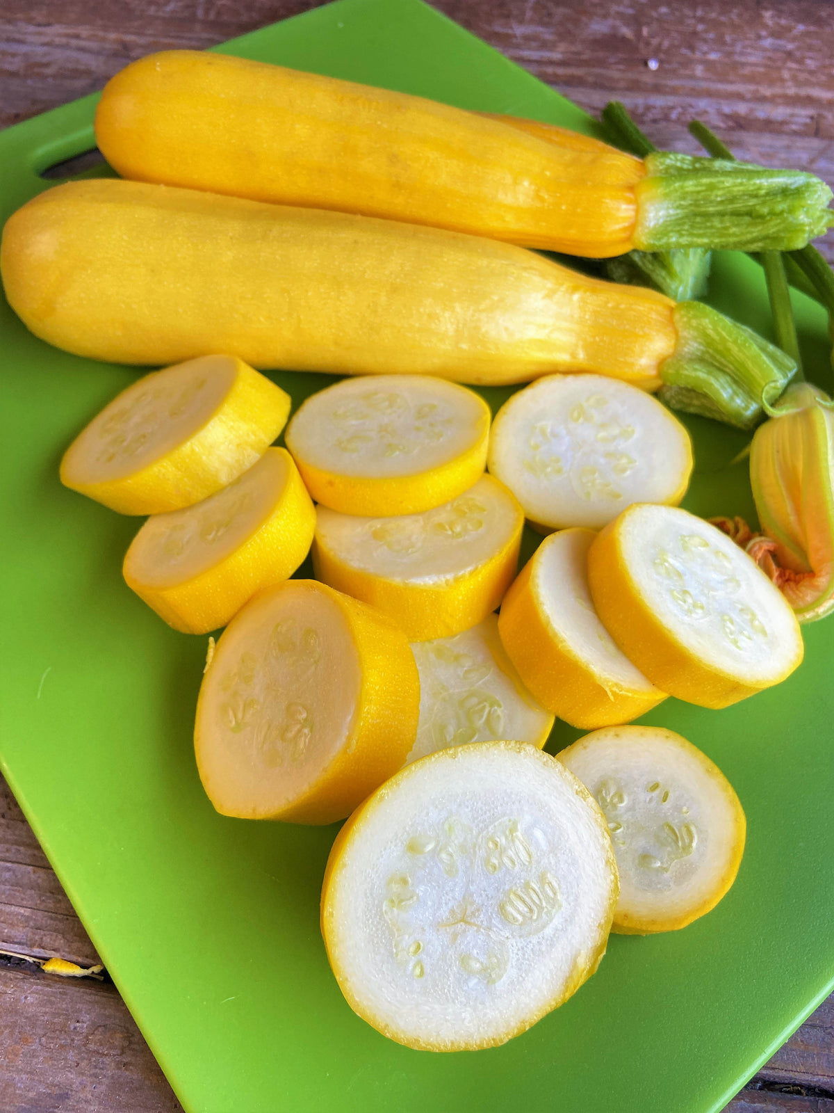 Heirloom Zucchini - Summer Gold Organic