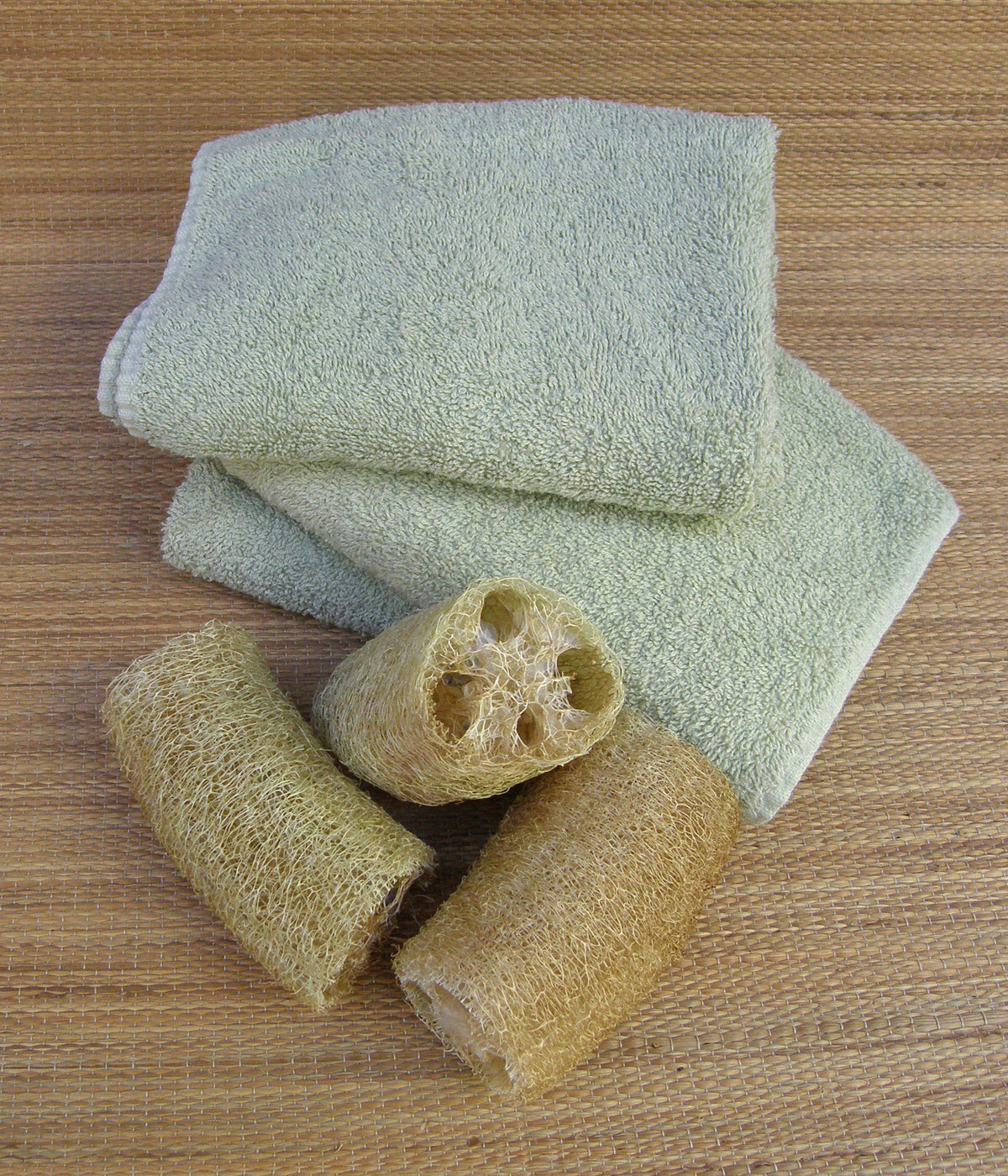 Compact Vining Gourds - Bath Loofah