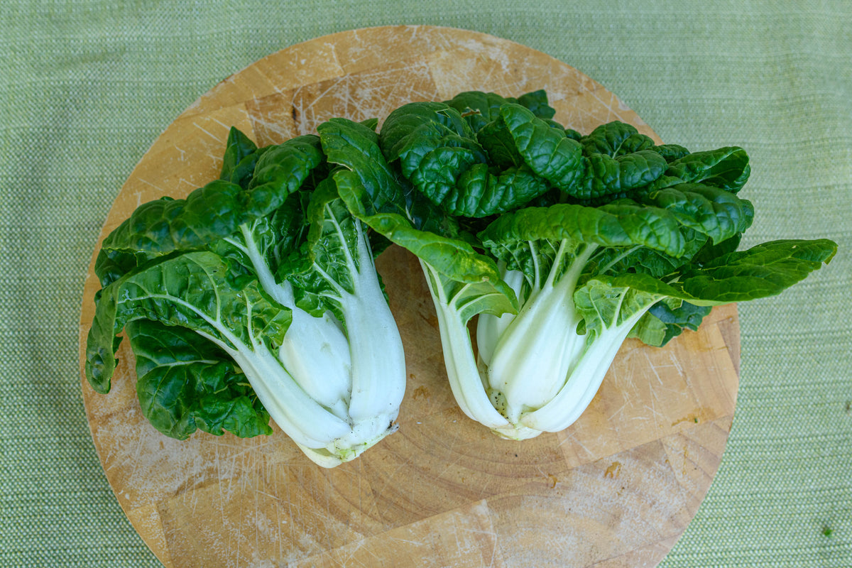 Mini Pak Choi - Green Jewel