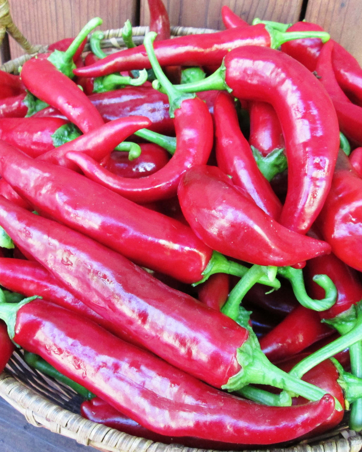 Paprika Pepper - Hungarian Magyar