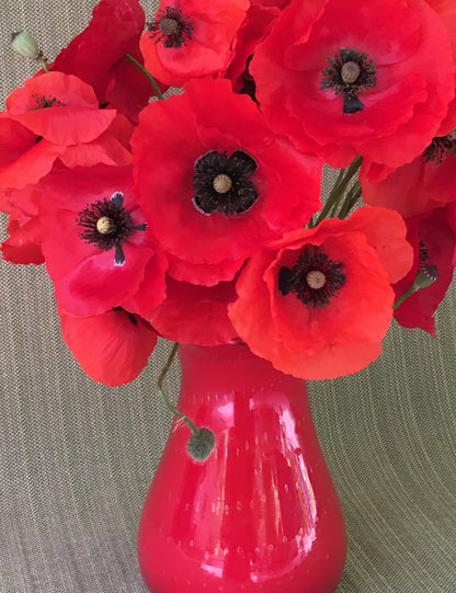 Shirley Poppies - Legion of Honor