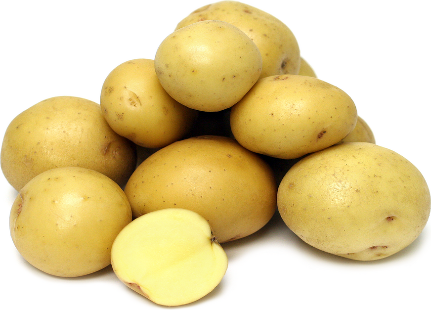 Seed Potatoes - Yukon Gem