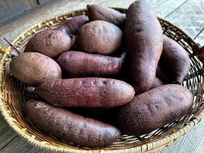 Sweet Potato Plants - Purple Majesty