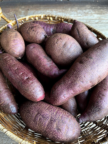 Sweet Potato Plants - Purple Majesty