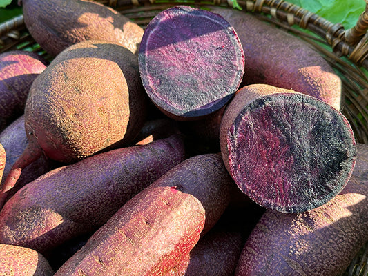 Sweet Potato Plants - Purple Majesty