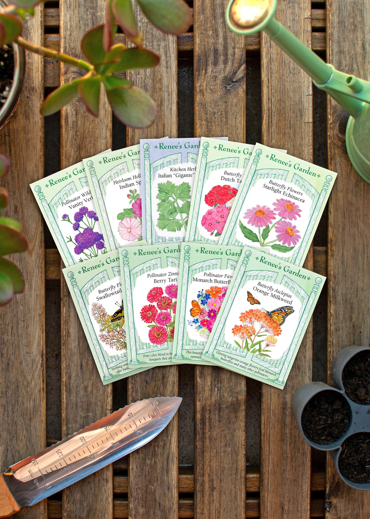 Hand-Picked Seed Bundle - Butterfly Magnets