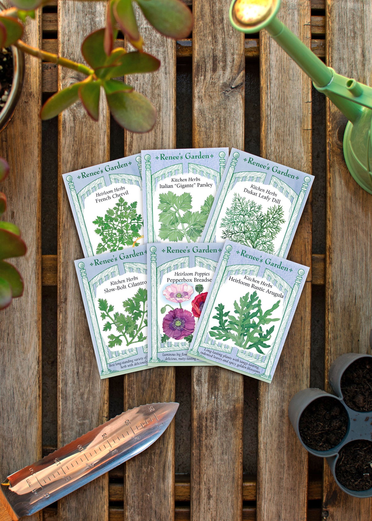Hand-Picked Seed Bundle - Cool Weather Herbs